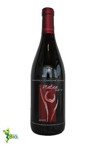 Foto T da uve biologiche 0.75 l