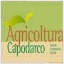 logo Cooperativa Sociale Capodarco Miele Biologico